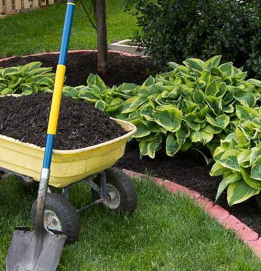 Mulch and Soil Installation